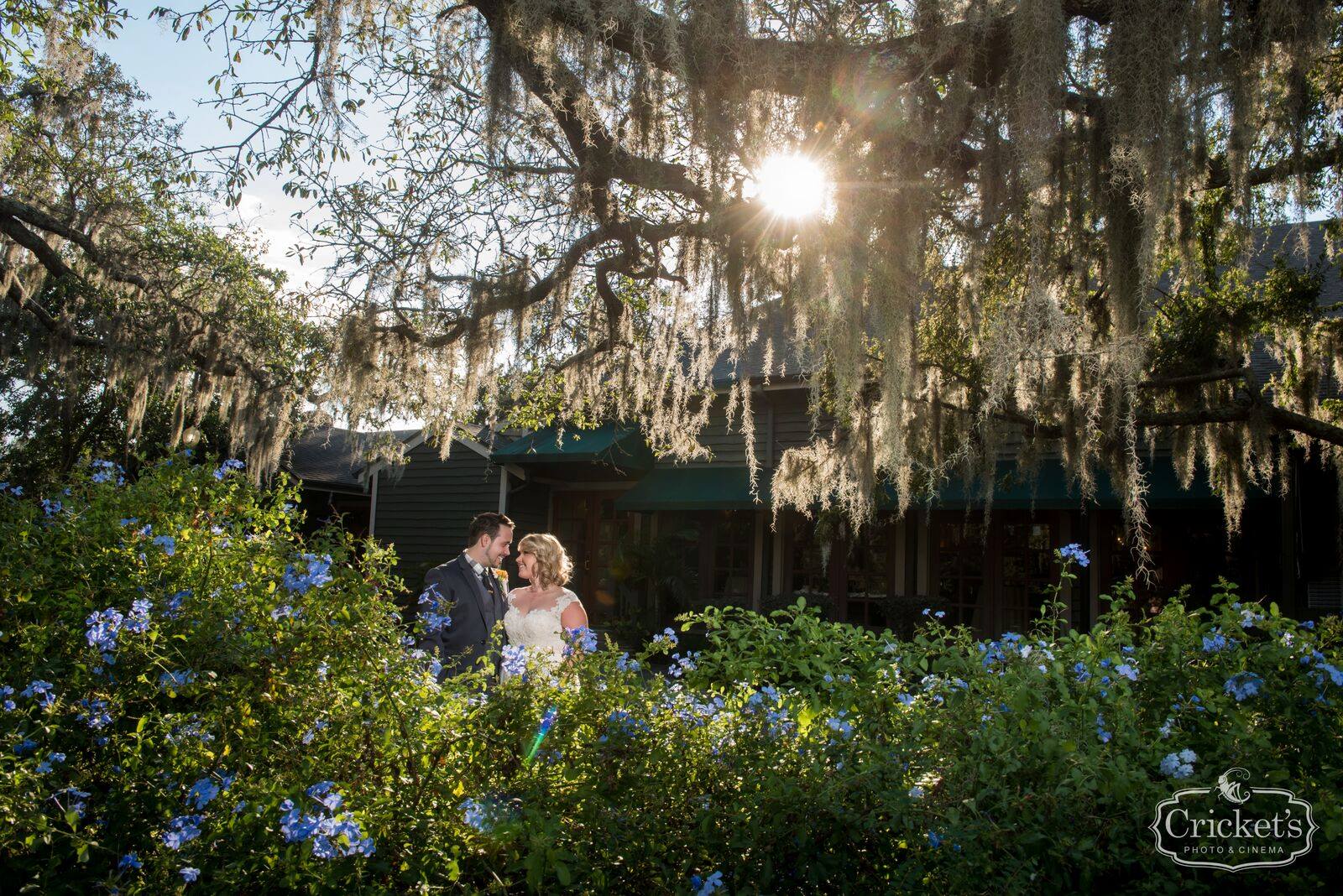 bride and groom pose behind bushes under tree with spanish moss