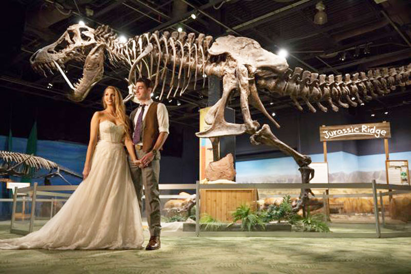dubsdread-catering-orlando-weddings-orlando-science-center-t-rex