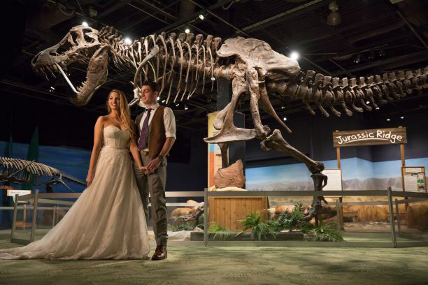 Wedding Venues in Orlando museum